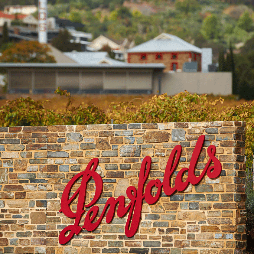 Magill Estate Cellar Door entrance