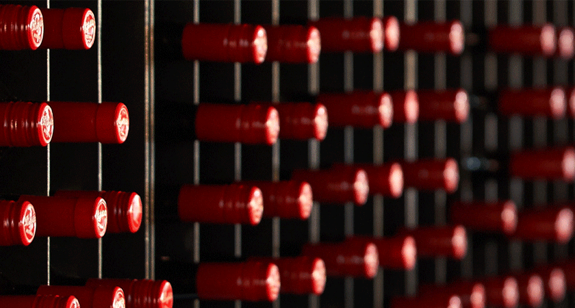 Bottles in cellar