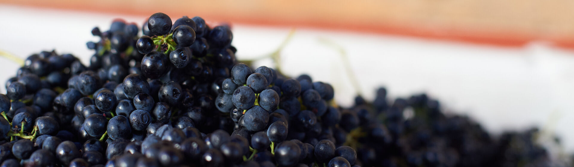 Shiraz Grapes