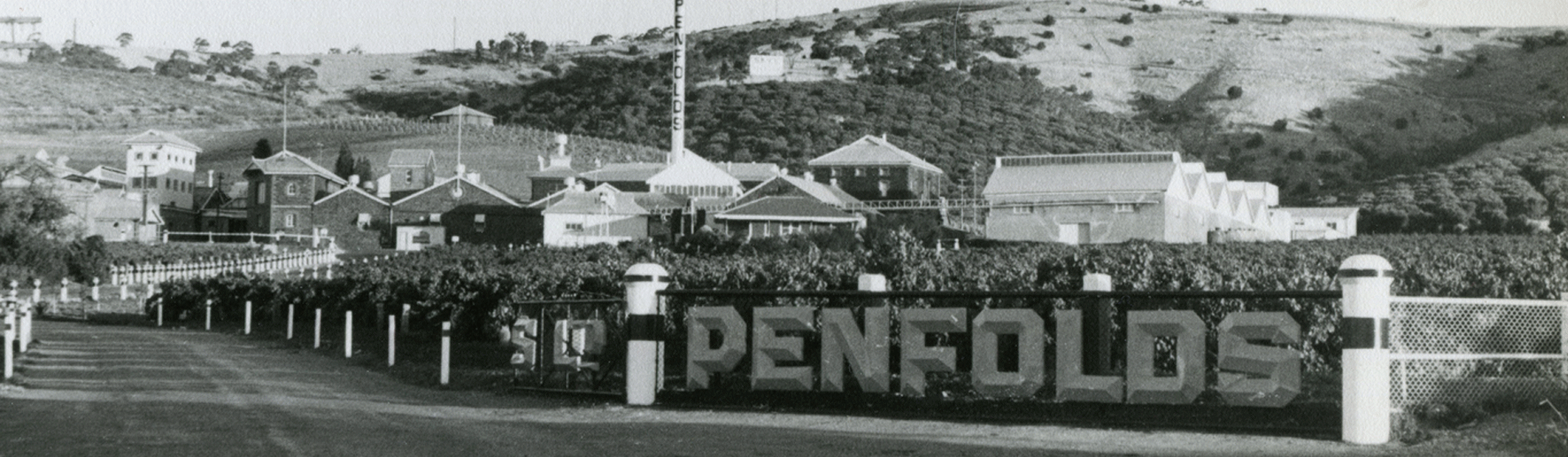 The entrance to Magill Estate in the 1920s.  Penfolds sign with vineyards and brick buildings behind