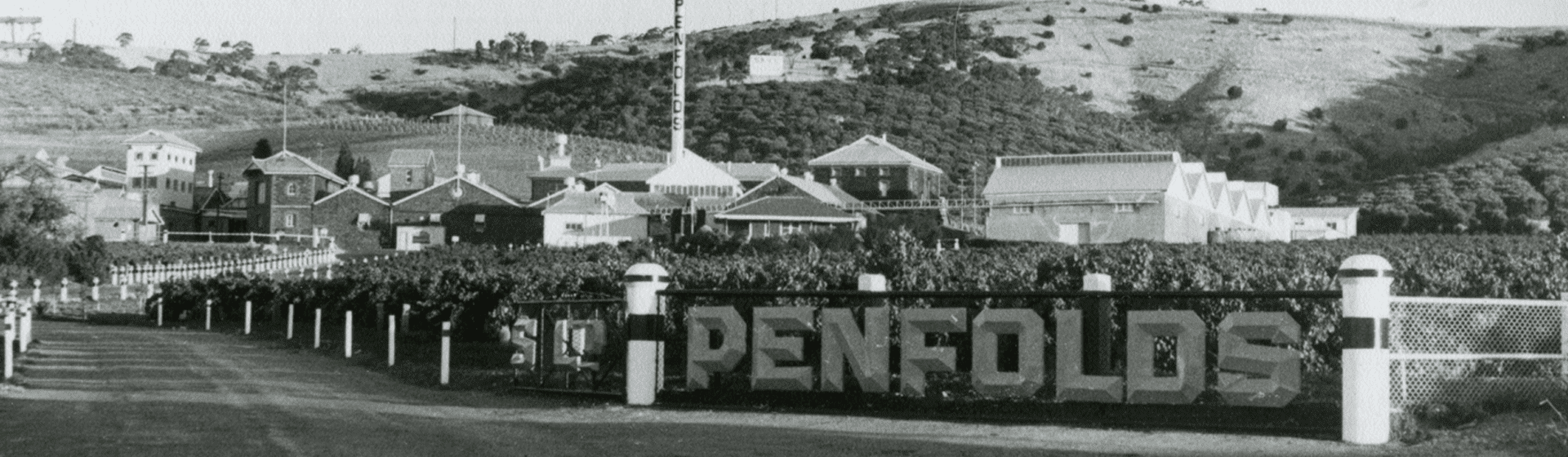 The entrance to Magill Estate in the 1920s.  Penfolds sign with vineyards and brick buildings behind