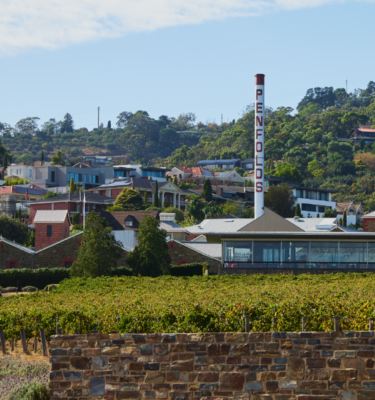 Magill Estate