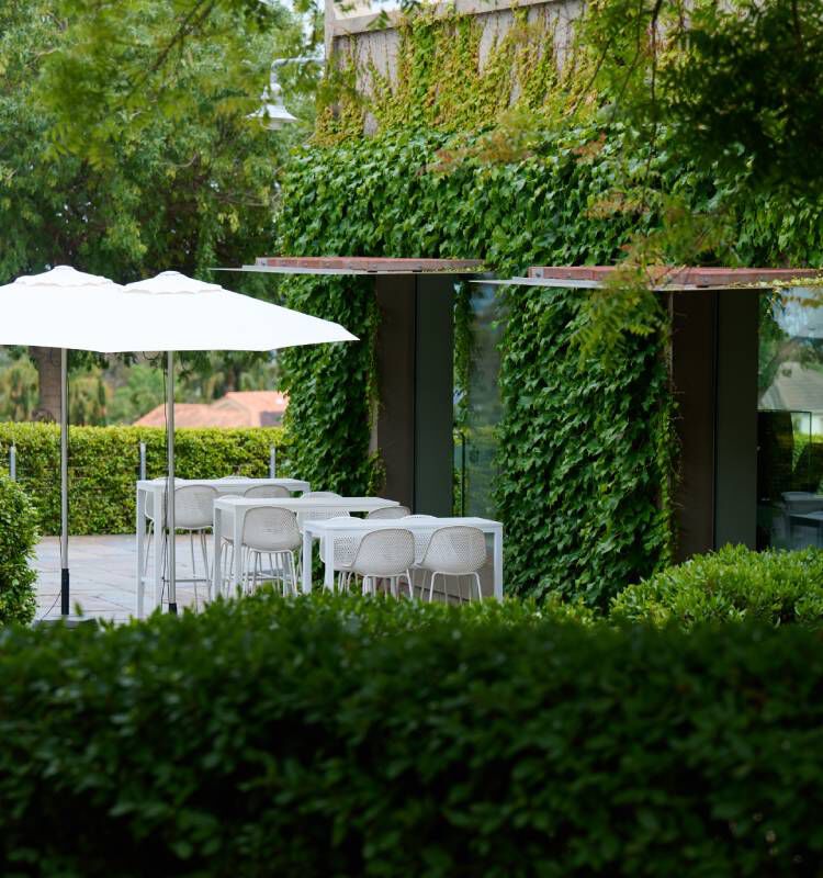 Magill Estate Cellar Door Terrace