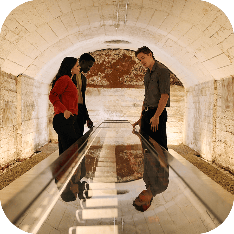 Magill Estate Tours
