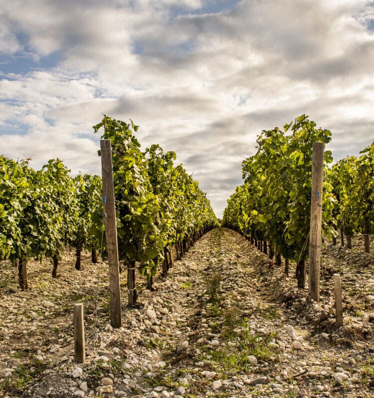 Penfolds Journey to France